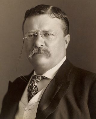 Theodore Roosevelt